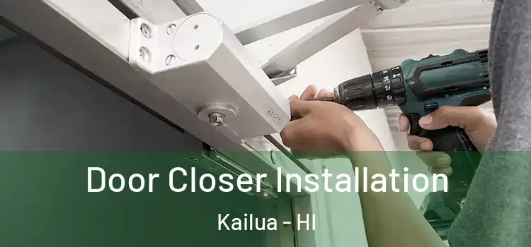  Door Closer Installation Kailua - HI