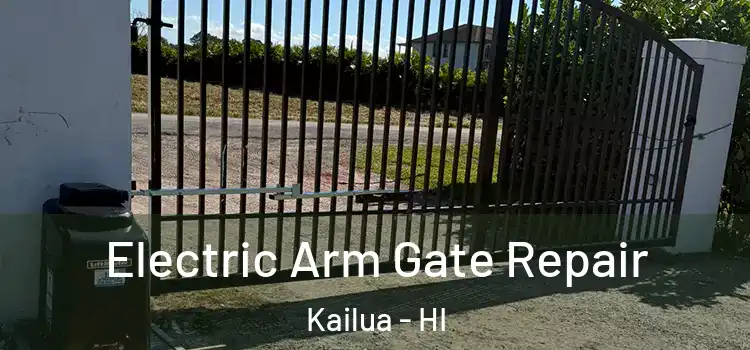 Electric Arm Gate Repair Kailua - HI