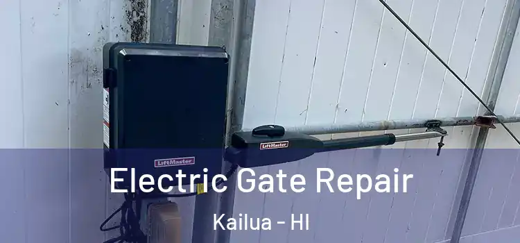 Electric Gate Repair Kailua - HI