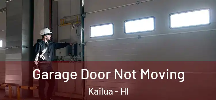  Garage Door Not Moving Kailua - HI