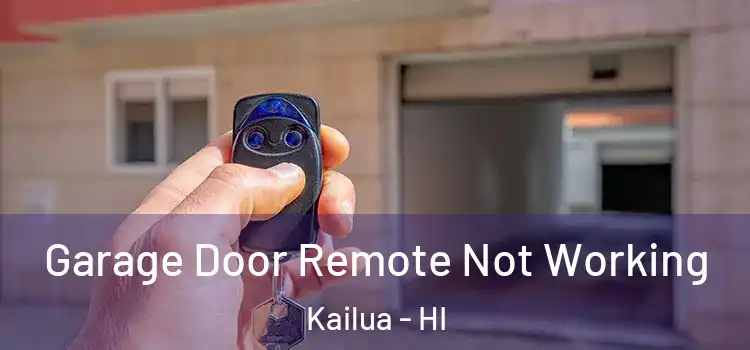  Garage Door Remote Not Working Kailua - HI