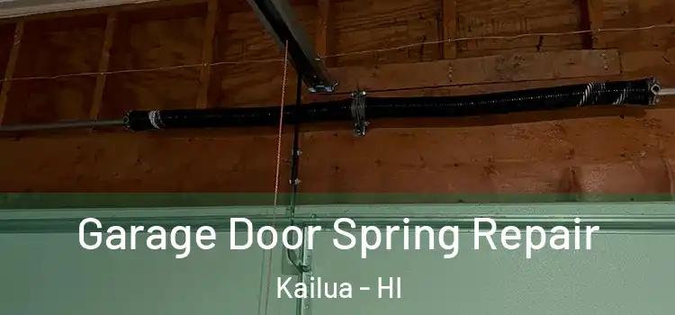  Garage Door Spring Repair Kailua - HI