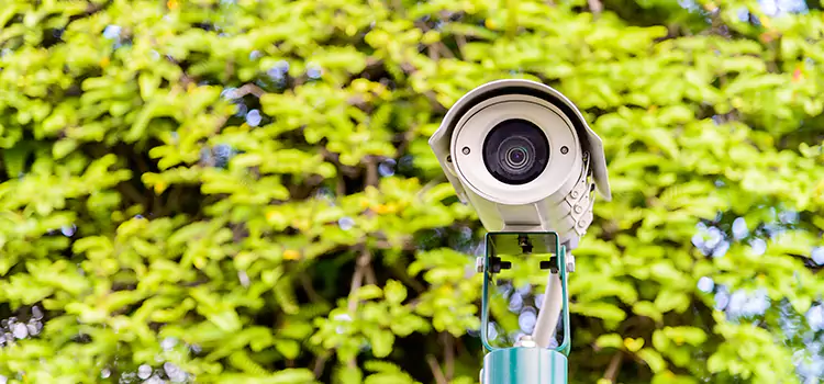 Advanced Surveillance Solutions for Every Need in Kailua