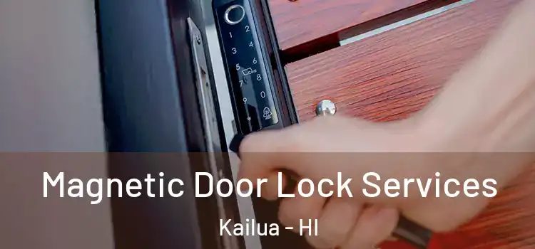 Magnetic Door Lock Services Kailua - HI