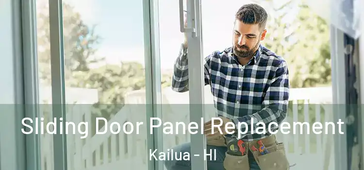  Sliding Door Panel Replacement Kailua - HI